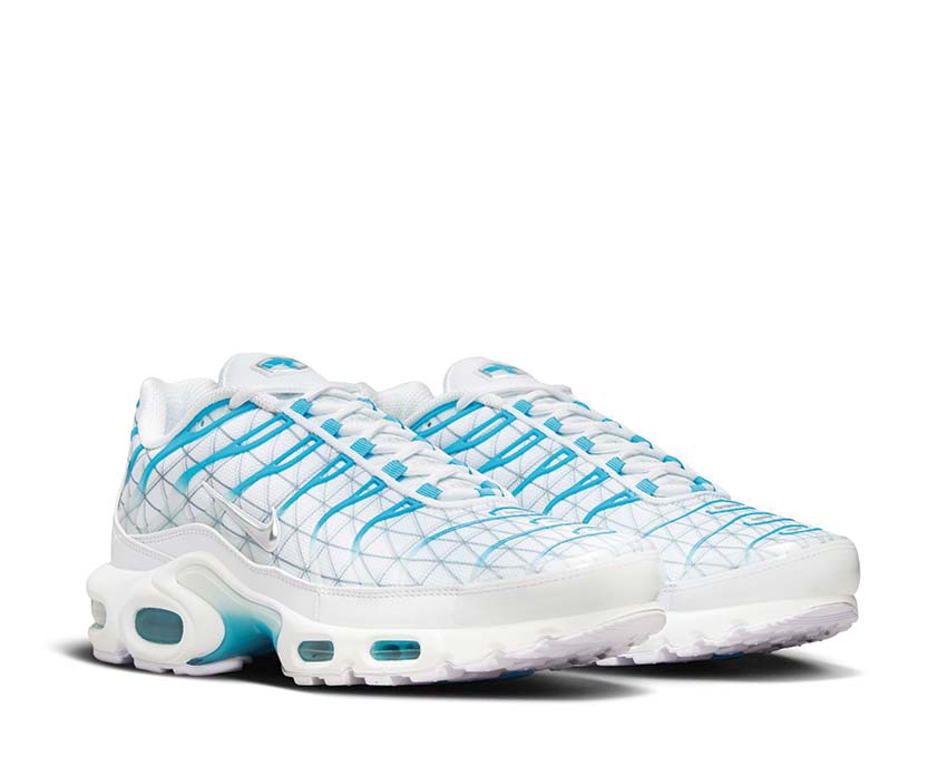 Nike Air Max Plus "Marseille"
