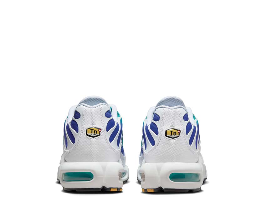 Nike Air Max Plus "Aqua"