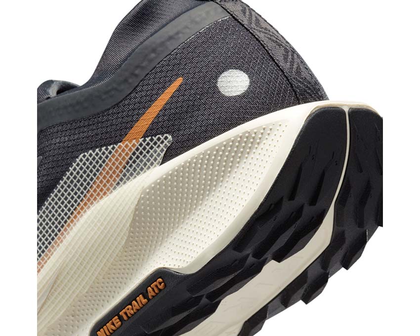 Nike Pegasus Trail 5 GTX